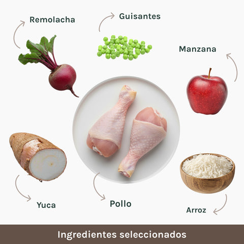 Monoproteico | Pienso Perros Chicken & Rice | NF