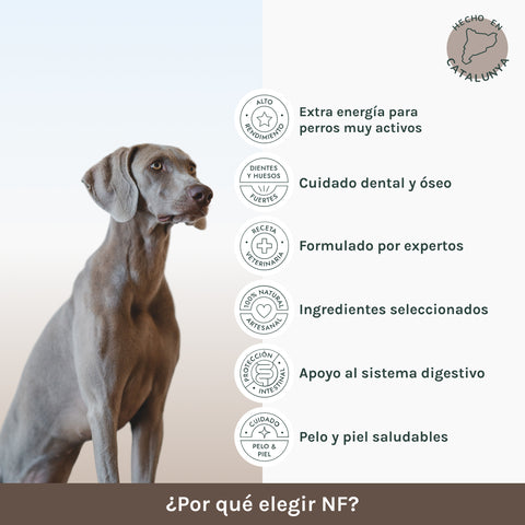 Monoproteico | Pienso Perros Alta Energía | NF