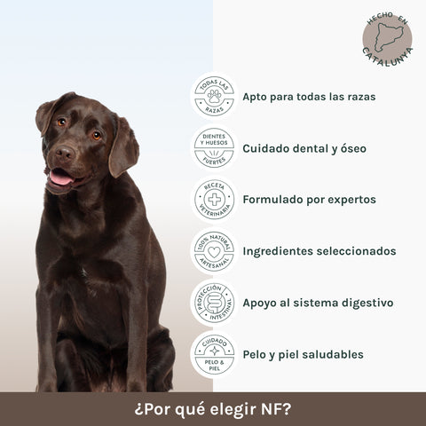 Monoproteico | Pienso Perros Lamb & Rice | NF