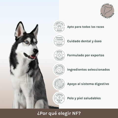 Monoproteico | Pienso Perros Meat & Rice | NF