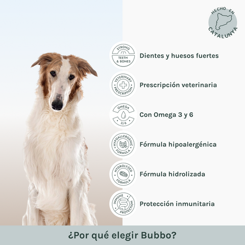 Adult Health | Pienso Perros Salmon Gluten Free | Bubbo