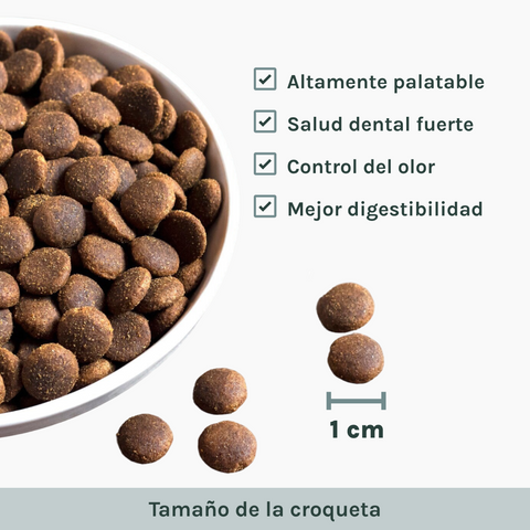 Adult Health | Pienso Perros Salmon Gluten Free | Bubbo