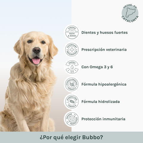 Senior | Pienso Perros Salmon Gluten Free | Bubbo