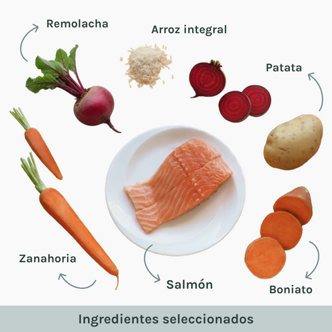 Senior | Pienso Perros Salmon Gluten Free | Bubbo