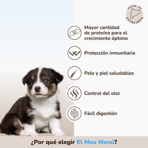 Pienso Puppies para Perros Pollo y Salmón | Meu Menú