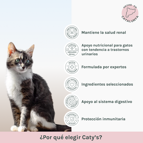 Cuidado Urinario | Pienso Gatos Pollo | Caty´s