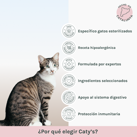 Hipoalergénico | Pienso Gatos Salmón | Caty´s