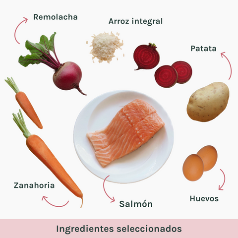 Hipoalergénico | Pienso Gatos Salmón | Caty´s
