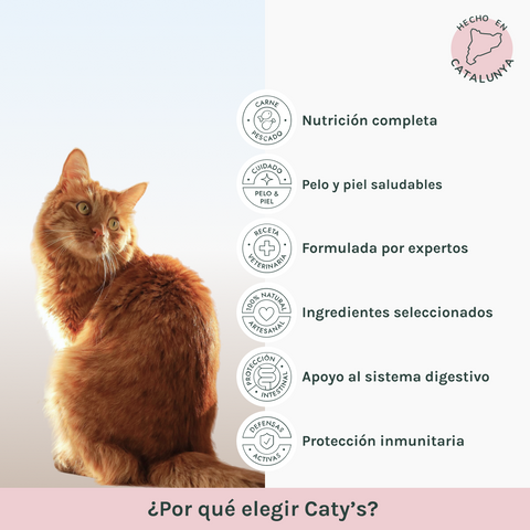 Natural Life | Pienso Gatos Pollo | Caty´s