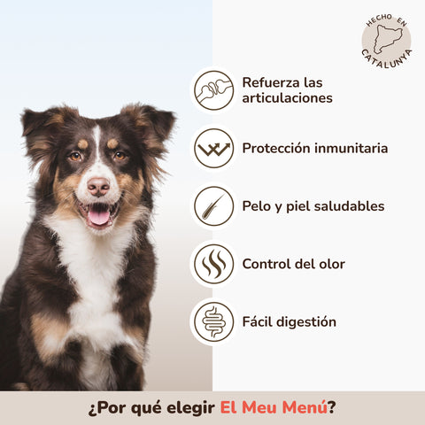 Pienso Perros Cordero | Meu Menú