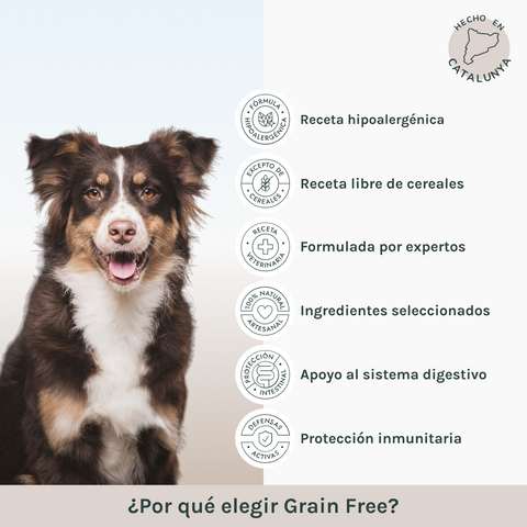 Cerdo | Pienso Perros Libre de Cereales | Grain Free