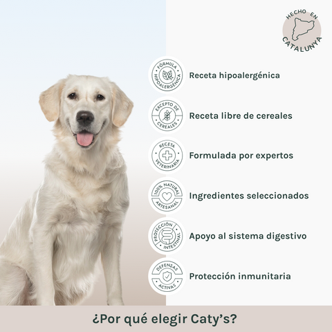 Salmón | Pienso Perros Libre de Cereales | Grain Free