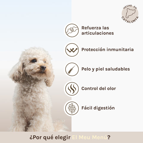 Beneficios pienso pollo razas pequeñas Meu Menú