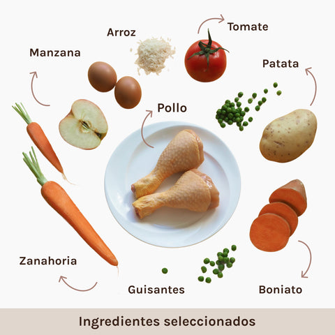 Ingredientes naturales pienso pollo Meu Menú