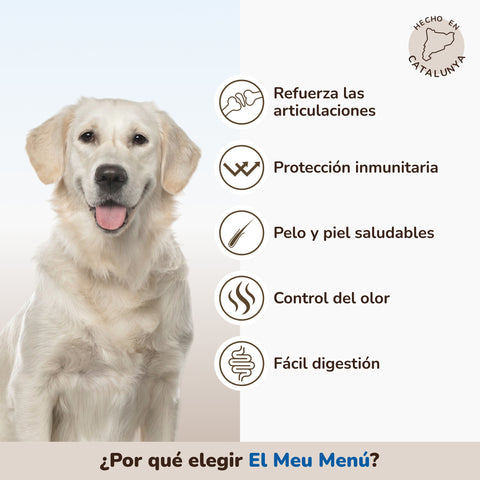 Pienso Perros Salmón | Meu Menú