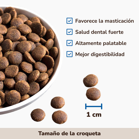 Pienso Perros Salmón | Meu Menú