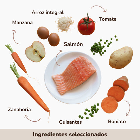 Pienso Perros Salmón | Meu Menú