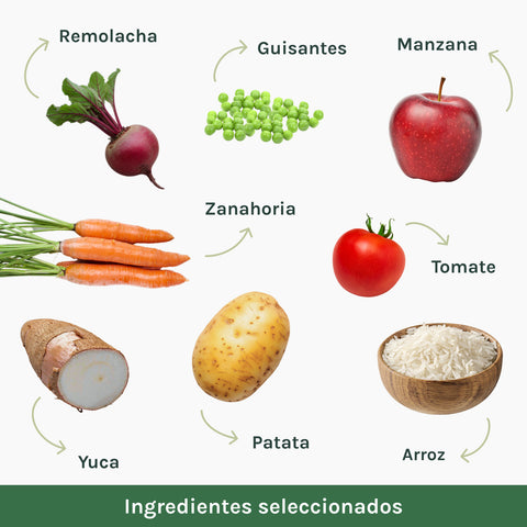 Pienso Perros Vegetariano | VEGFOOD