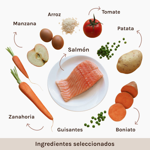 MEU Grain Free Salmón — uso diario